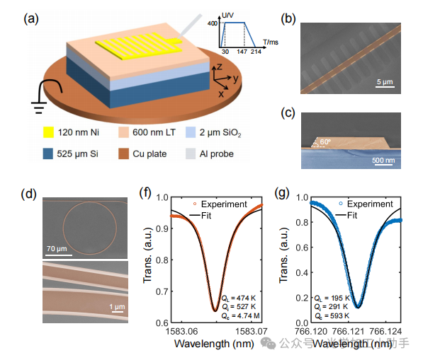 微信图片_2025-06-27_110310_031