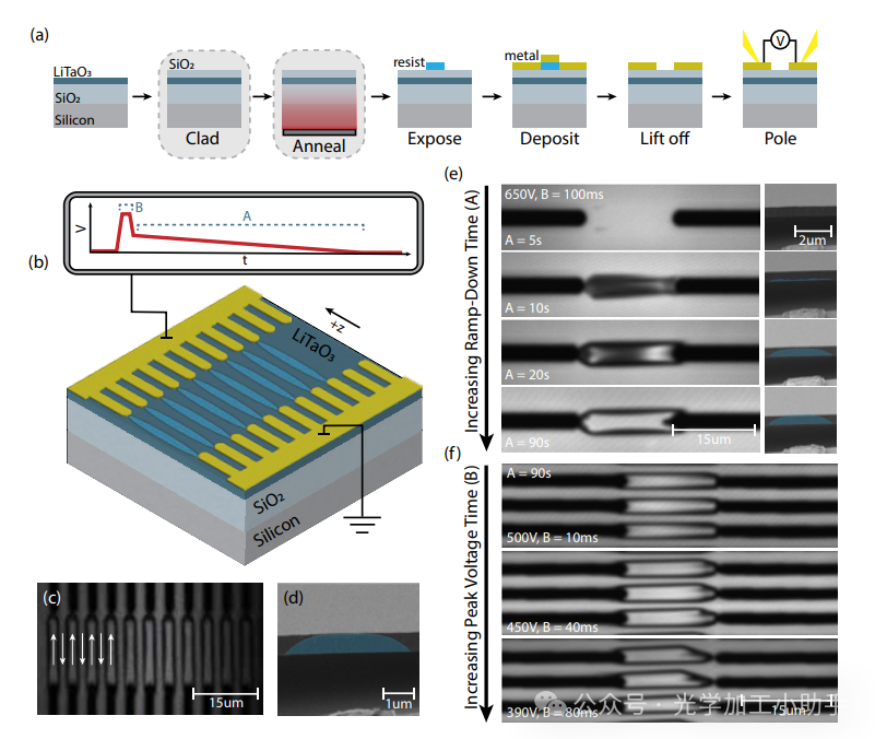 微信图片_2025-06-27_110857_614