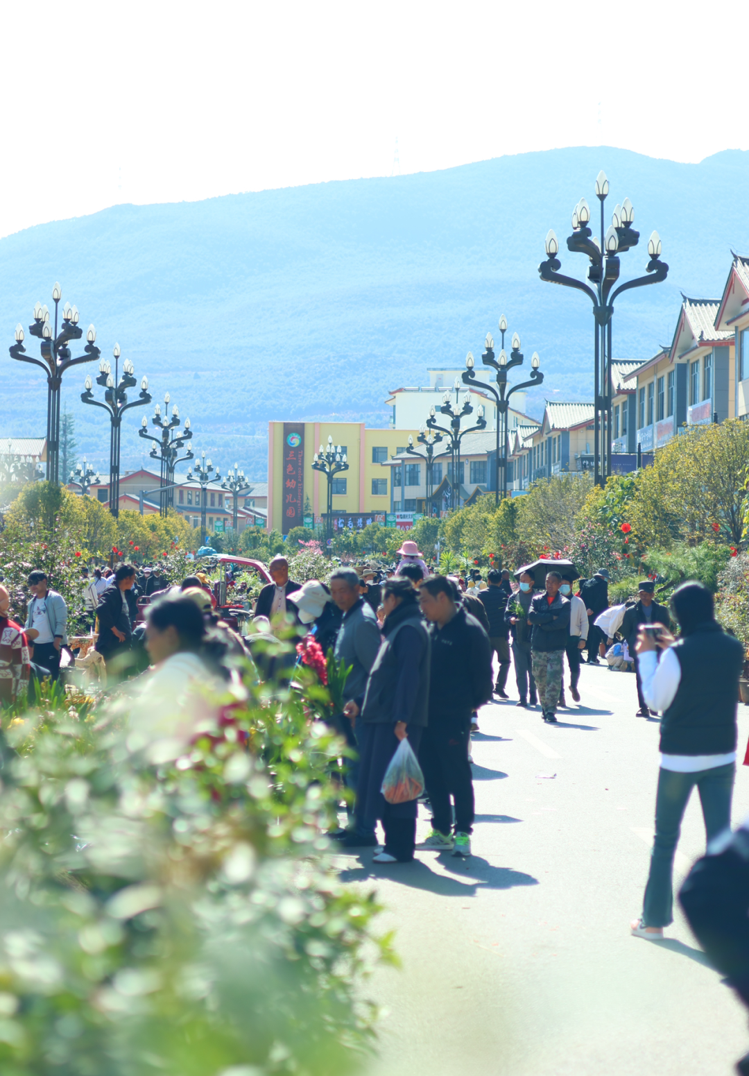 锦绣中国年今年棒棒会要在丽江这些地方办你准备好逛会了吗