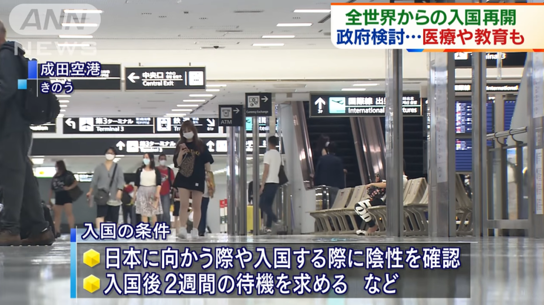 沪江日语 自由微信 Freewechat