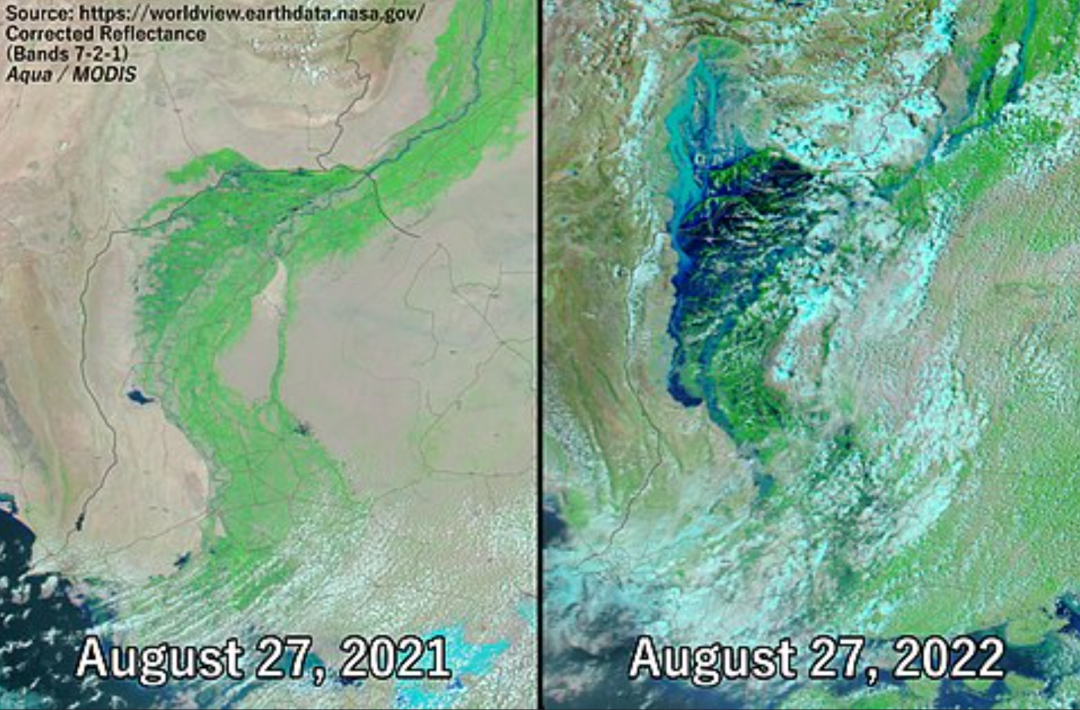 巴基斯坦洪灾_巴基斯坦洪灾_2010巴基斯坦洪灾