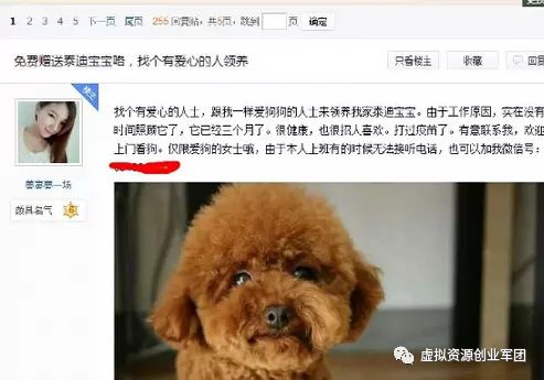 赚钱网站方法有哪些_网站赚钱方法_教你赚钱的网站