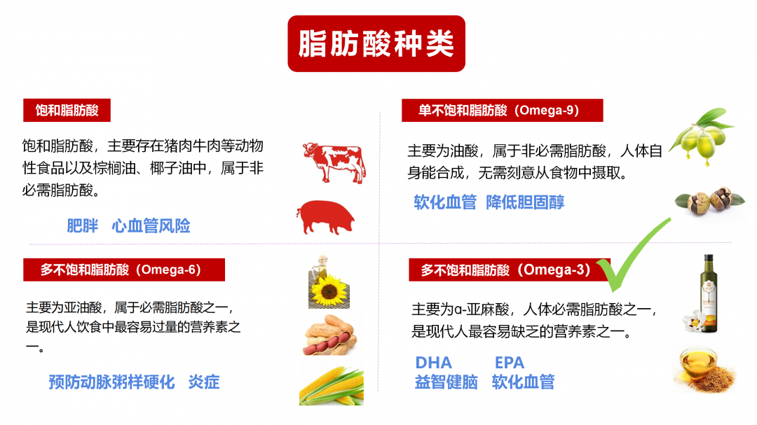 全员KOC培训—雍和牡丹籽油板块【4.0】_09.png 图片