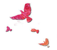 柯桥区人才_柯桥人才网官网_柯桥人才网