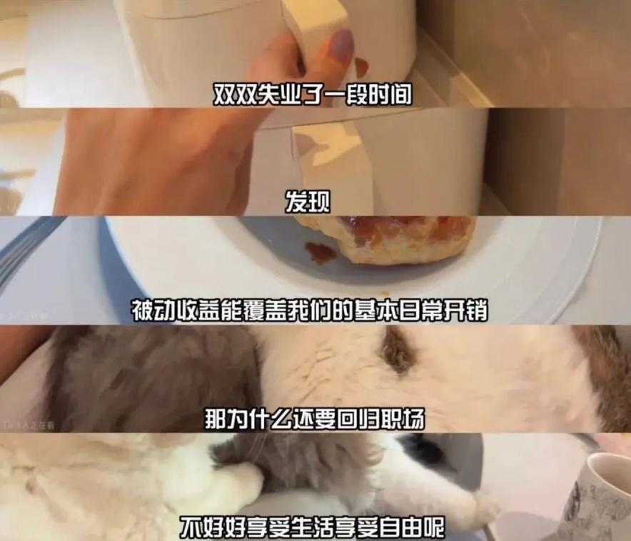 北京畫冊印制_包頭東河 印畫冊_印畫冊a4大2ooo本帶書號多少錢