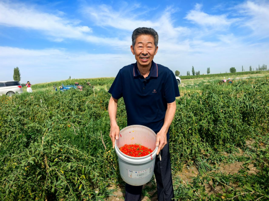 刘红卫专辑：中国中药协会“中药材全域GAP基地建设与推广行动”的落地路径与实操建议（下）