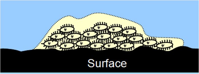 伤口凝胶敷料怎么用普朗特TM液体／凝胶敷料_https://www.jmylbn.com_新闻资讯_第4张
