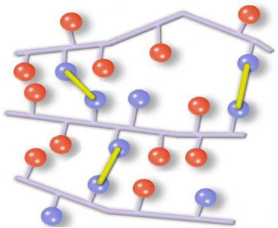 明胶在血管怎么降解泰尔茂人工血管——人工血管基础知识_https://www.jmylbn.com_新闻资讯_第13张