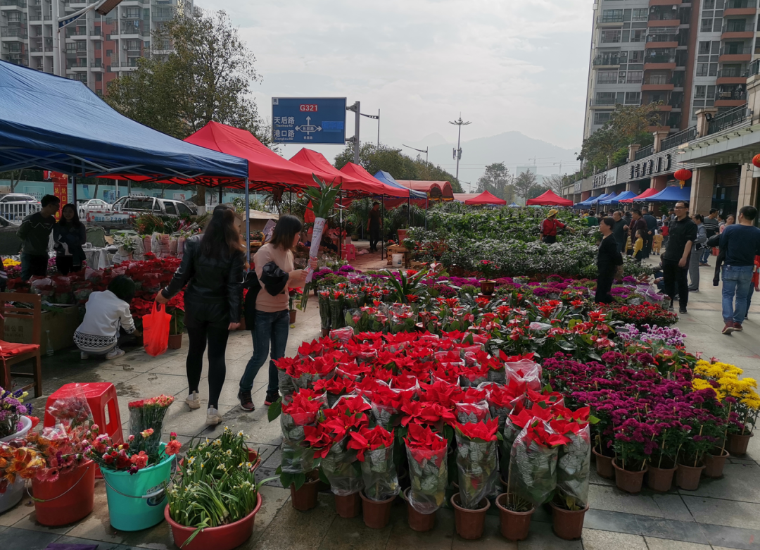 玖龍山樓盤旁空地龍光·玖龍山廣東省肇慶市鼎湖區民樂大道4號逛花街