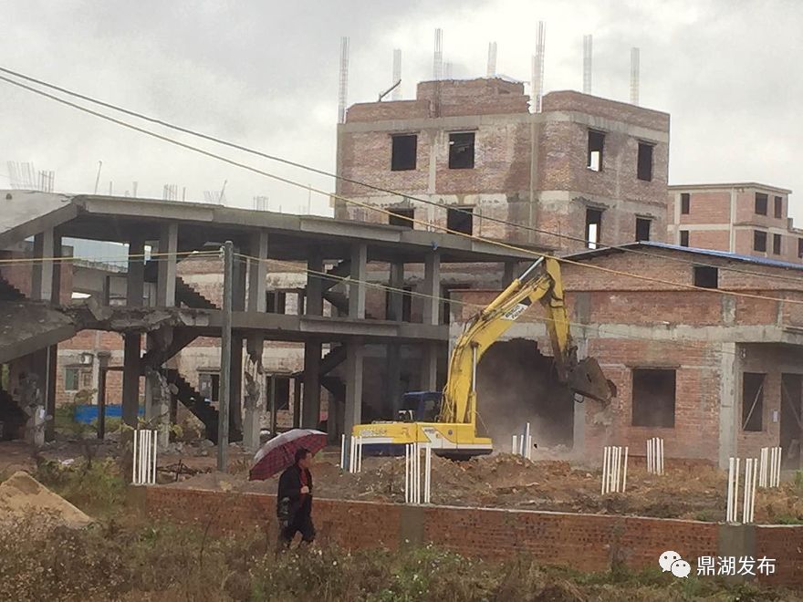 ( 详情戳这里回顾:鼎湖重拳整治永安镇大朗村违法用地行为!