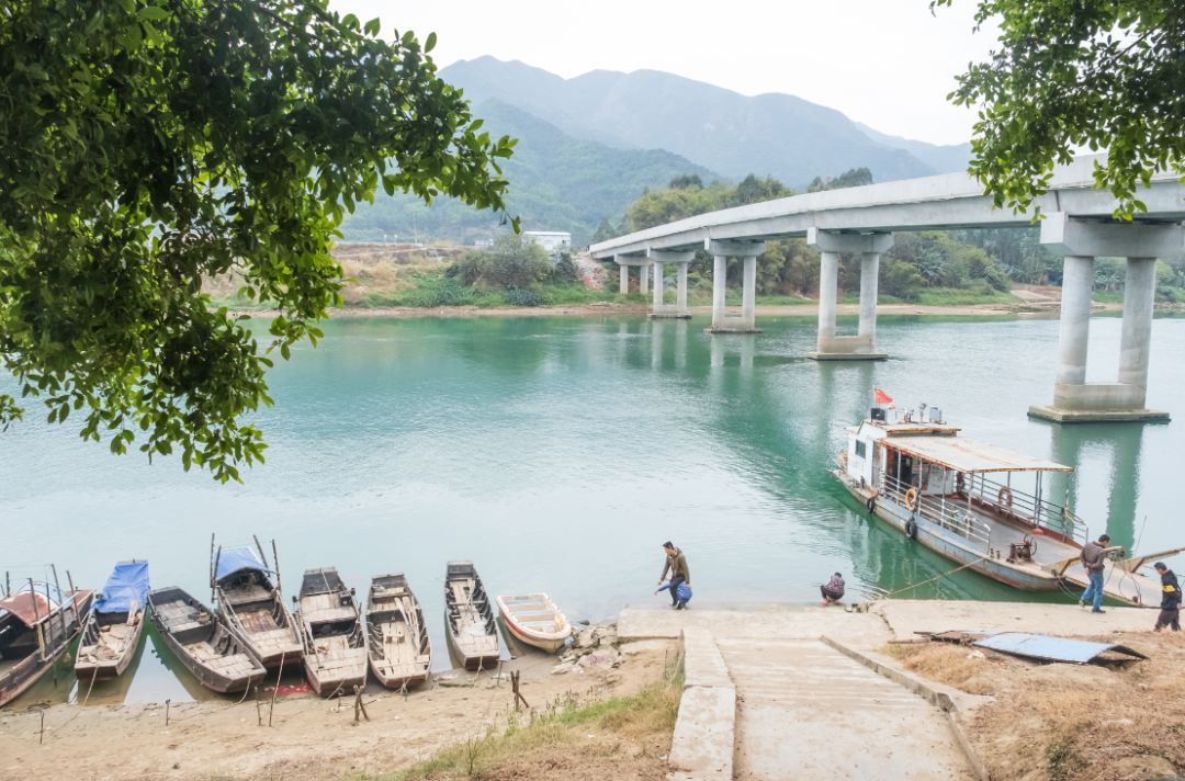 鼎湖沙浦沙洲岛大桥实现功能性通车!