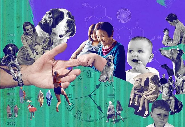 New U Life HGH凝胶提醒你衰老是一种病吗？如果是