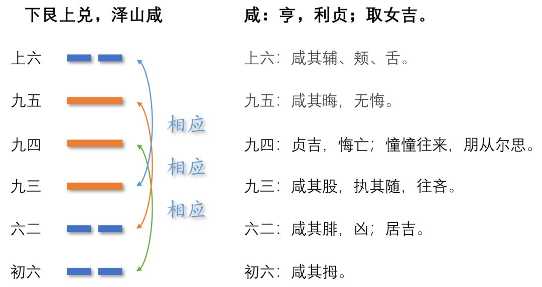 易经八卦发展史_易经八卦算命生辰八字_阴阳五行与易经八卦起源