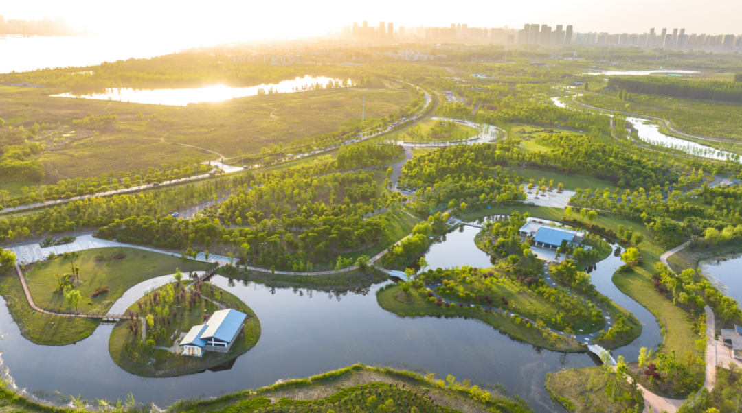 襄阳鱼梁洲湿地公园图片