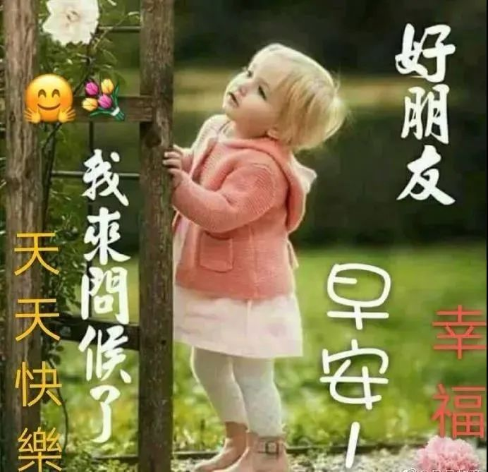 很萌宝宝早安问候表情图片笑起来很可爱的宝宝版问候图片 早上好祝福动图美句 微信公众号文章阅读 Wemp