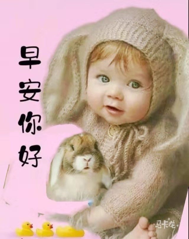 看淡生活图片_看淡图片_看淡的图片唯美