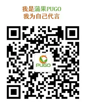 春见(耙耙柑)的起源 春见(耙耙柑)的起源