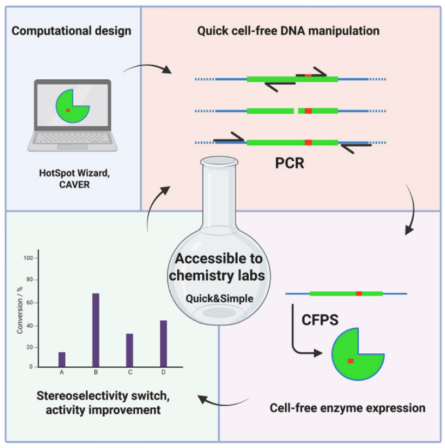 &ldquo;开挂&rdquo;的酶工程：不养细胞、不熬夜，如何用CFPS技术3天内完成百种酶筛选？