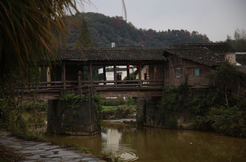 婺源解封了，油菜花也開了 旅遊 第17張