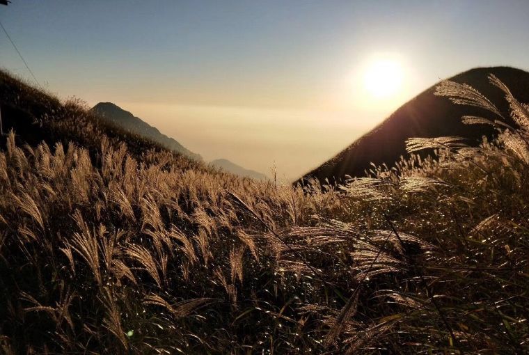 武功山：願你遍歷山河，覺得人間值得 旅遊 第17張