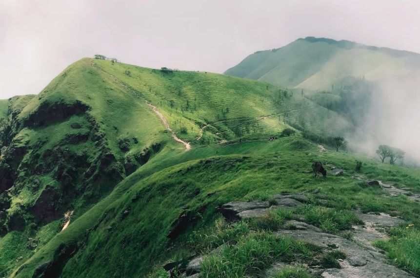 武功山：願你遍歷山河，覺得人間值得 旅遊 第16張