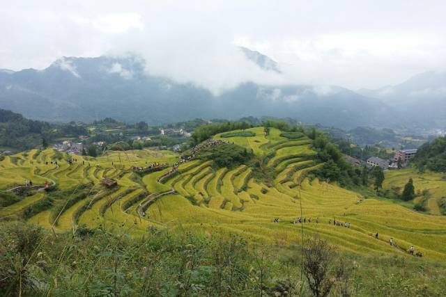 你要是去麗水，記得@我 旅行 第68張