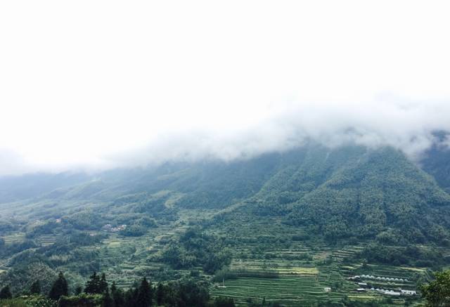 你要是去麗水，記得@我 旅行 第69張