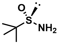 手性叔丁基亚磺酰胺的那些事（一） 第2张