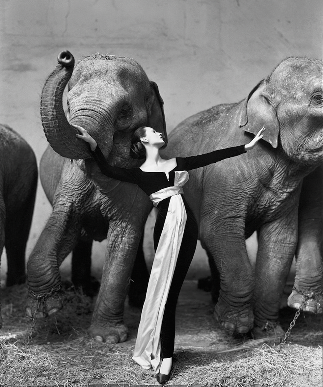 艺术与设计 - 世界顶级时尚摄影师,作品堪称现代人的灵魂!