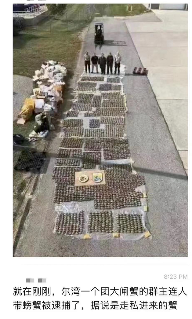 吃“祸”！华人团购大闸蟹被同胞举报？南加州取货点连夜被端，卖家也悲剧了……（组图 - 6
