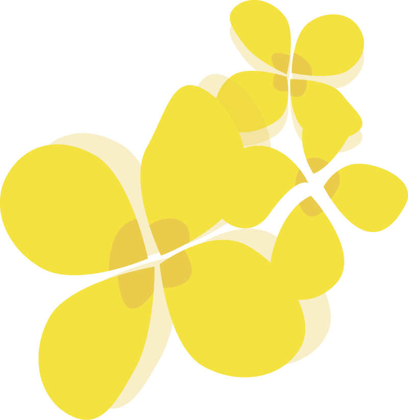 清明节放假通知