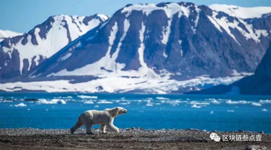 GitHub 将比特币代码埋在北极圈雪山中作为下一个千年的安全港
