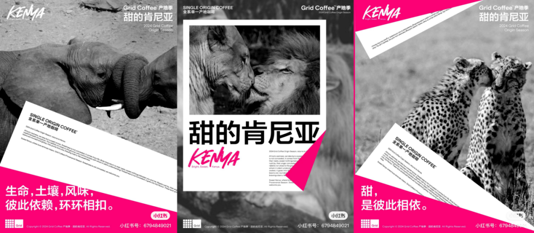 品牌做內容營銷