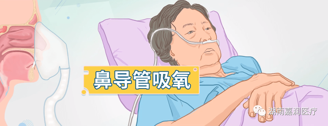 吸氧应该什么浓度鼻导管吸氧时的氧浓度（FiO2）计算公式_https://www.jmylbn.com_新闻资讯_第5张