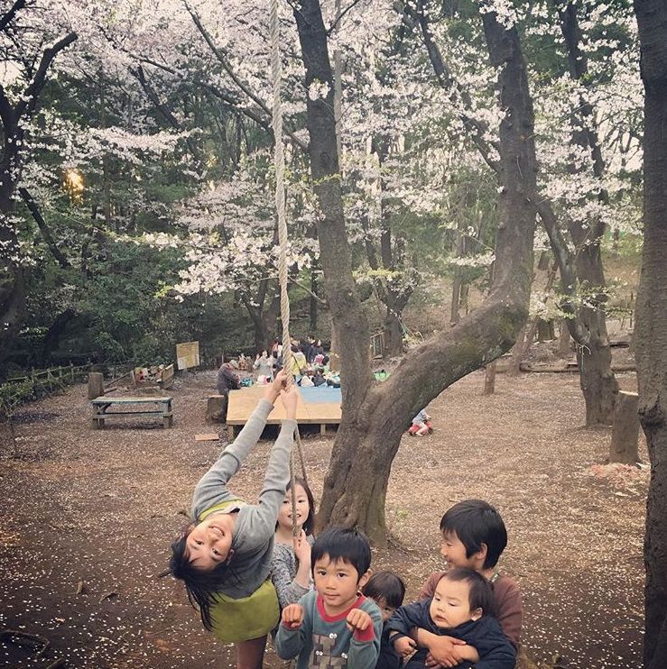 从小送孩子到“危险公园”锻炼自信心：日本家长安全教育的启发