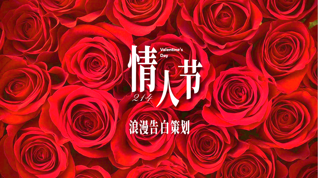 浪姐奖杯 丑