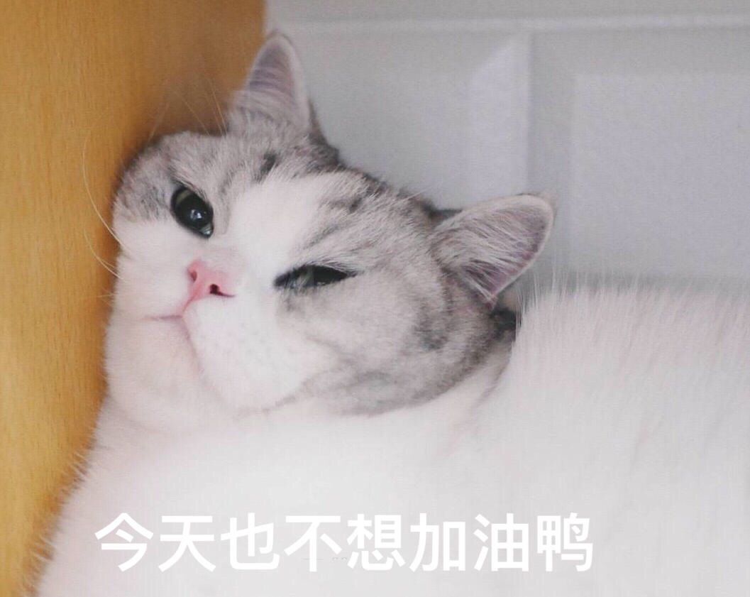 快捷键回到桌面是哪个_桌面整理技巧_桌面技术