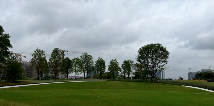 番禺越秀大学城和樾府加推11座，本月官宣学校？