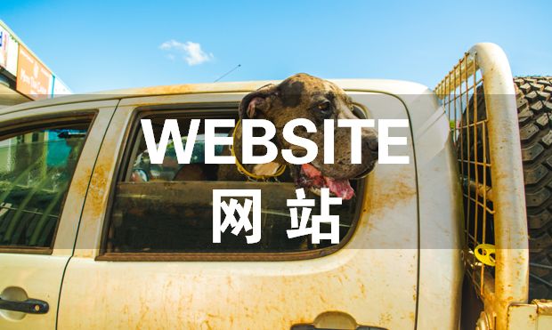 初到攻略 | 除了澳洲政府网站list，我们还准备了...... - 1