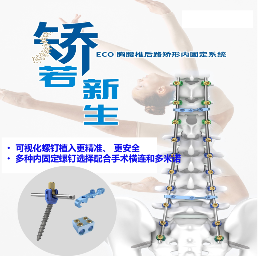 《脊智领航》|