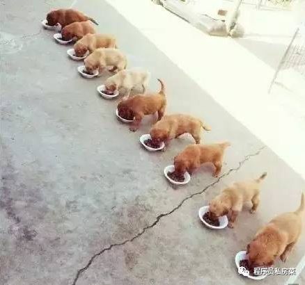 640?wx_fmt=png&tp=webp&wxfrom=5&wx_lazy=1&wx_co=1