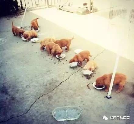 640?wx_fmt=png&tp=webp&wxfrom=5&wx_lazy=1&wx_co=1