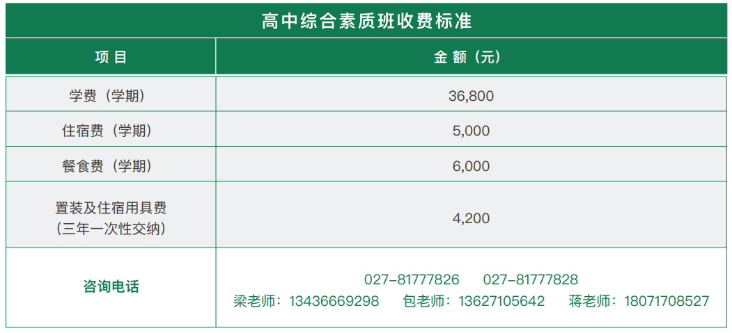 洪山高中国际部_洪山高中国际部高考班_洪山高中国际部怎么进