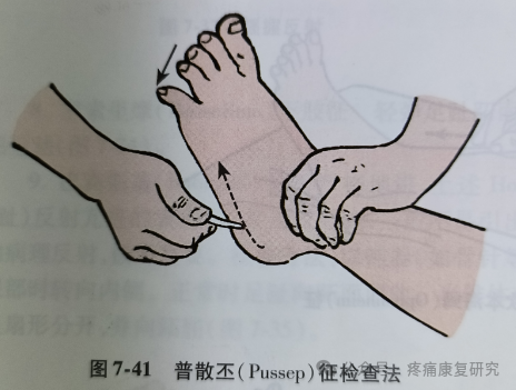 叩诊锤的怎么用康复必备：41个常见的神经反射检查_https://www.jmylbn.com_新闻资讯_第40张