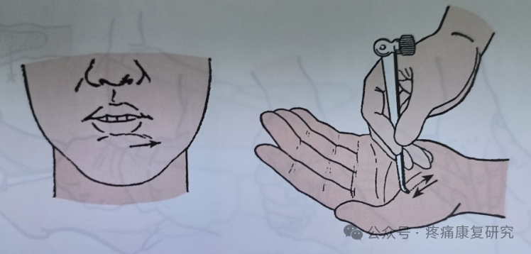 叩诊锤的怎么用康复必备：41个常见的神经反射检查_https://www.jmylbn.com_新闻资讯_第28张