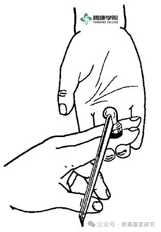 叩诊锤的怎么用康复必备：41个常见的神经反射检查_https://www.jmylbn.com_新闻资讯_第8张