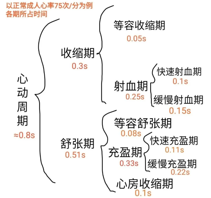 梯度压力泵怎么使用【内脏与疼痛】心脏的泵血_https://www.jmylbn.com_新闻资讯_第5张