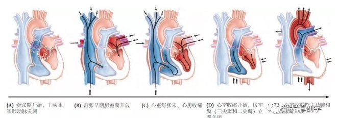 梯度压力泵怎么使用【内脏与疼痛】心脏的泵血_https://www.jmylbn.com_新闻资讯_第1张
