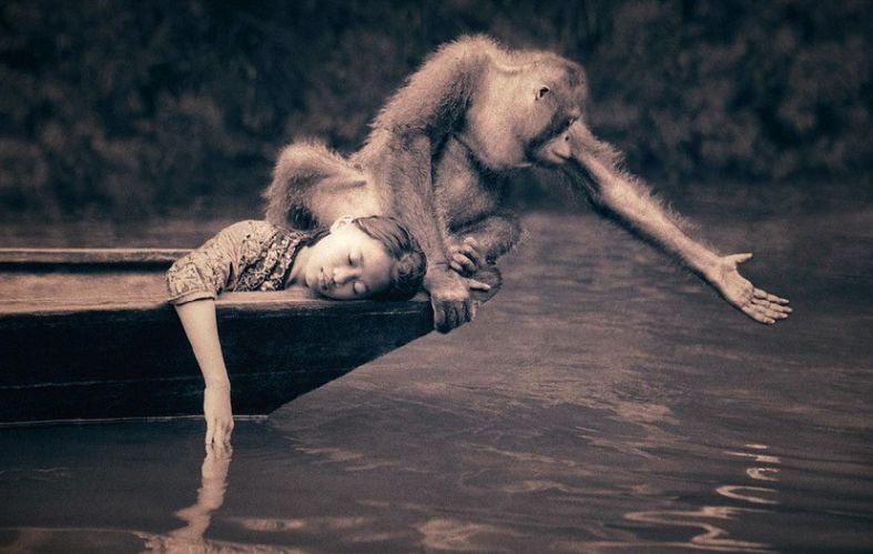 無法重來的一生