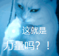 b图_大狗插女人的b图黄图_艹b真图片图